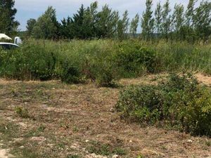 Proprietes privees.com Patricia FERRIER