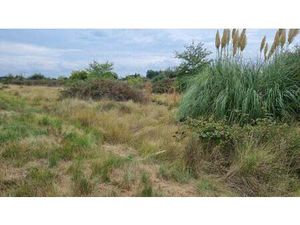 Terrain champêtre/forestier à vendre