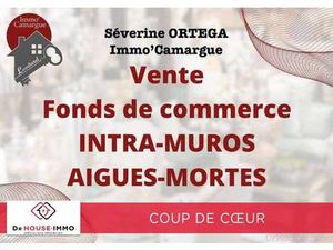 Séverine Ortega Dr House Immo