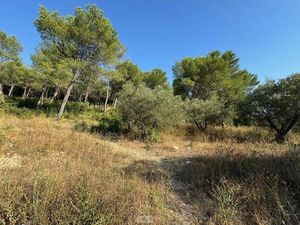 Terrain constructible viabilisé à vendre