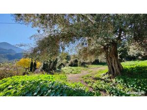 Terrain 567 m² Moncale