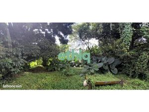 Terrain 15 000 m² Capesterre Belle Eau