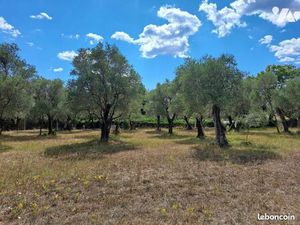 Terrain 2775 m² OPIO