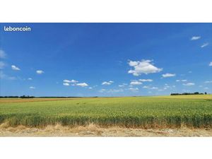 Bien agricole La Chapelle-Saint-Laurian