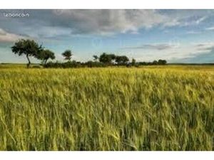 Bien agricole Valençay