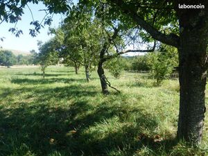 Vente VERGER à Croismare 54300