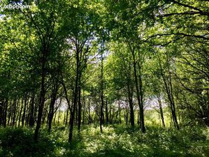 Terrain 19383 M2 dont 4683 M2 constructibles enclavés