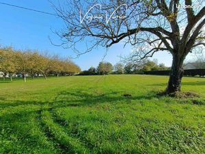 Terrain 1208 m² pazayac