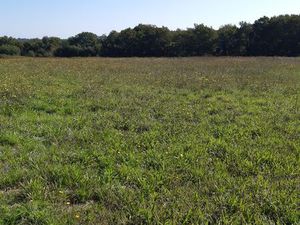 Terrain à bâtir Labastide d'Armagnac (40240)