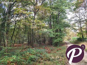 Terrain 151213 m² Ginestet