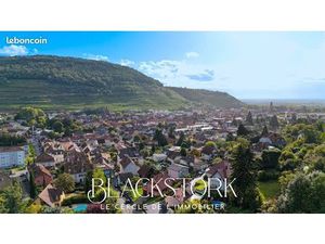 Terrain 4195 m² GUEBWILLER