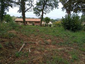 Annonce vente terrain terrain de 331m2 à La sauve (33670) - ParuVendu.fr ref 992782754039