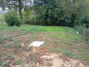 Annonce vente terrain terrain de 980m2 à Sallebœuf (33370) - ParuVendu.fr ref 992782754037