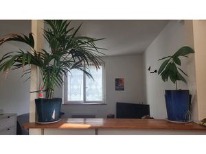 Vente appartement 1 pièce 22.85 m² à Le Palais (56360)  127 200 €