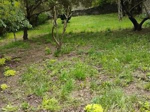Vente terrain 1500 m² à Uzès (30700)  385 000 €