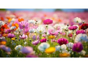 VALLAT IMMOBILIER DOUSSARD