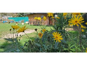 Maison Guérande environ de 100m2 au sol   3 chambres