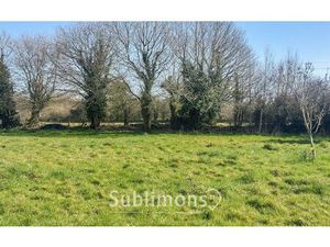 Terrain à vendre Ploeren