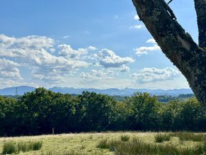 Achat Maison 6 pièces 180m² ST PIERRE D IRUBE 64990