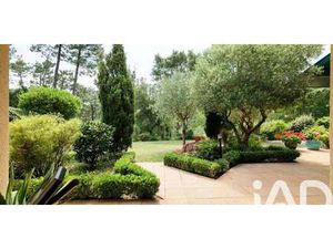 Maison avec jardin et terrasse Soorts-Hossegor (40)