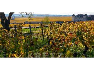 Propriété Vougeot (21)