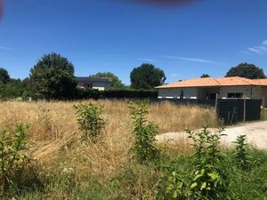 Vente terrain 905 m² à Pessac (33600)  265 000 €