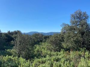 Vente terrain 1165 m² à Puget (84360)  240 000 €