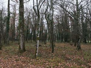 Achat Terrain 2 597m² MAYRAC 46200
