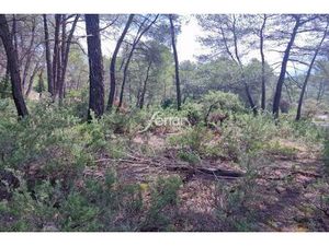 A vendre Salernes terrain constructible