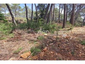 A vendre Salernes terrain constructible