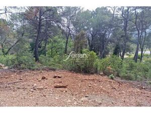 A vendre Salernes terrain constructible