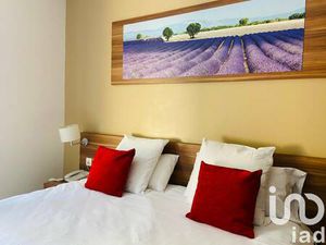 iad France Alexandra Chelu