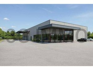 Local d'activités à vendre