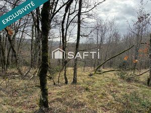 TERRAIN 4860m2 – CALME ABSOLU – NATURE PRESERVEE