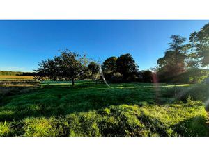 Vente terrain  3140.00m²  Écoyeux