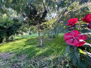 Achat Maison 6 pièces 125m² COUDROY 45260