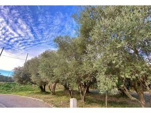 Vente terrain 401 m² Castries (34160)