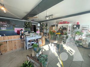 A VENDRE MURS PROFESSIONNELS LOUES