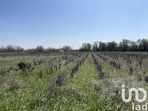 Vente Terrain agricole 5 975 m²