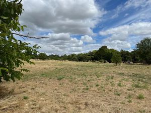 Vente terrain à batir 1550 m² à Pont-l'abbe-d'arnoult (17250)  107 415 €