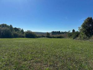 THIEUX LOUIT Véronique Capifrance