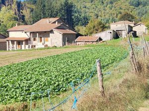 Vente maison 9 pièces 153 m² Saint-Martin-de-Valamas (07310)