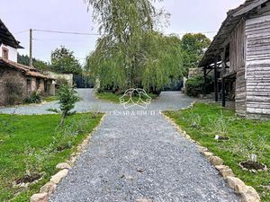 Maison en pierre 5 pièces (113m²)