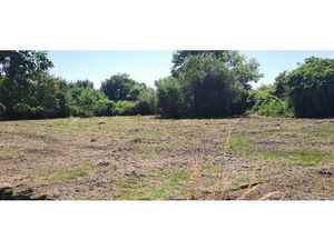 Annonce vente terrain terrain de 485m2 à Brach (33480) - ParuVendu.fr ref 992782811783