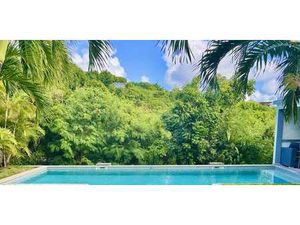 Villa avec piscine et jardin Saint-Barthélemy (971)