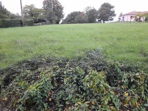 Vente terrain 2300 m² à Verneuil-sur-Vienne (87430)  70 000 €