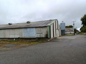 Poulaillers industriels