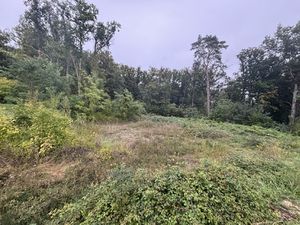 Achat Terrain CLEREY 10390