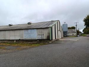 poulaillers industriels