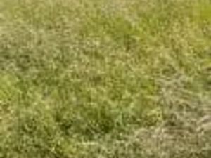 Vente terrain 500 m² à Grandvillars (90600)  55 000 €